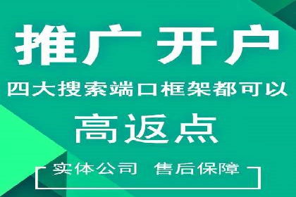 SEM代运营托管公司案例剖析